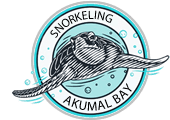 Akumal Snorkeling Tours